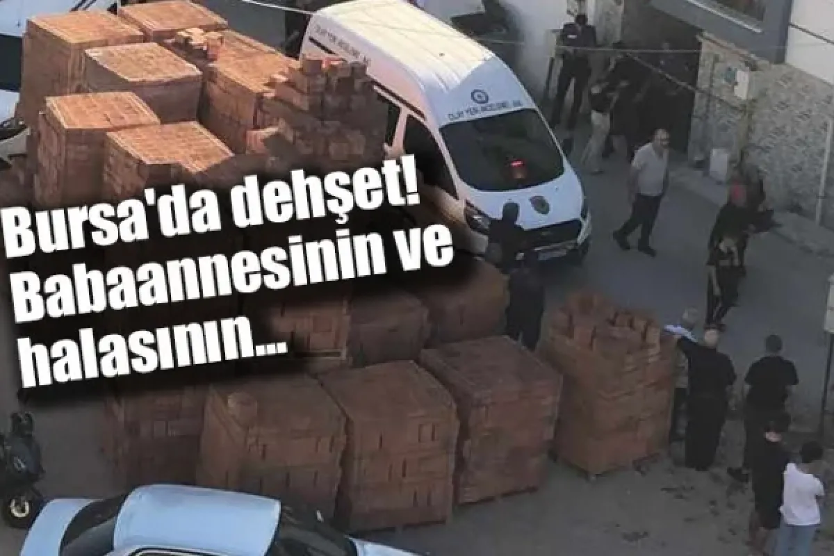 Bursa'da dehşet! Babaannesinin ve halasının...