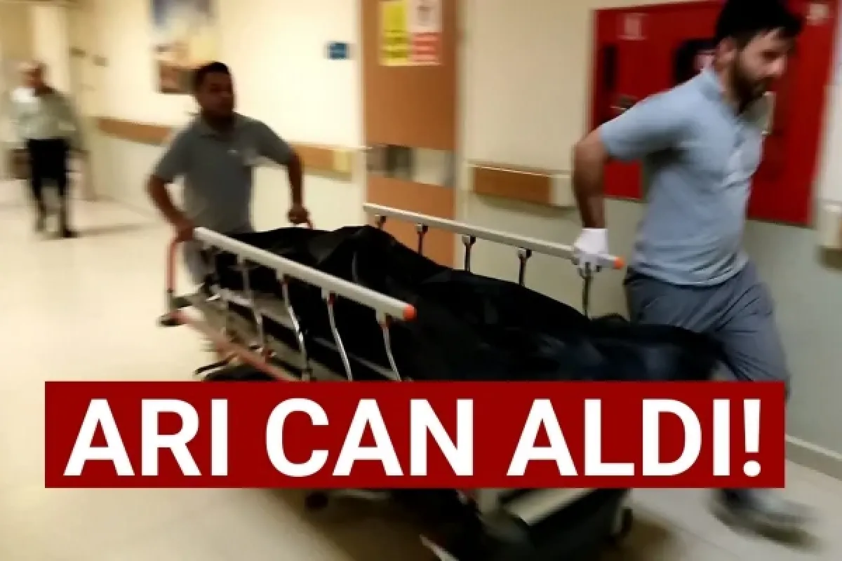 Arı can aldı!