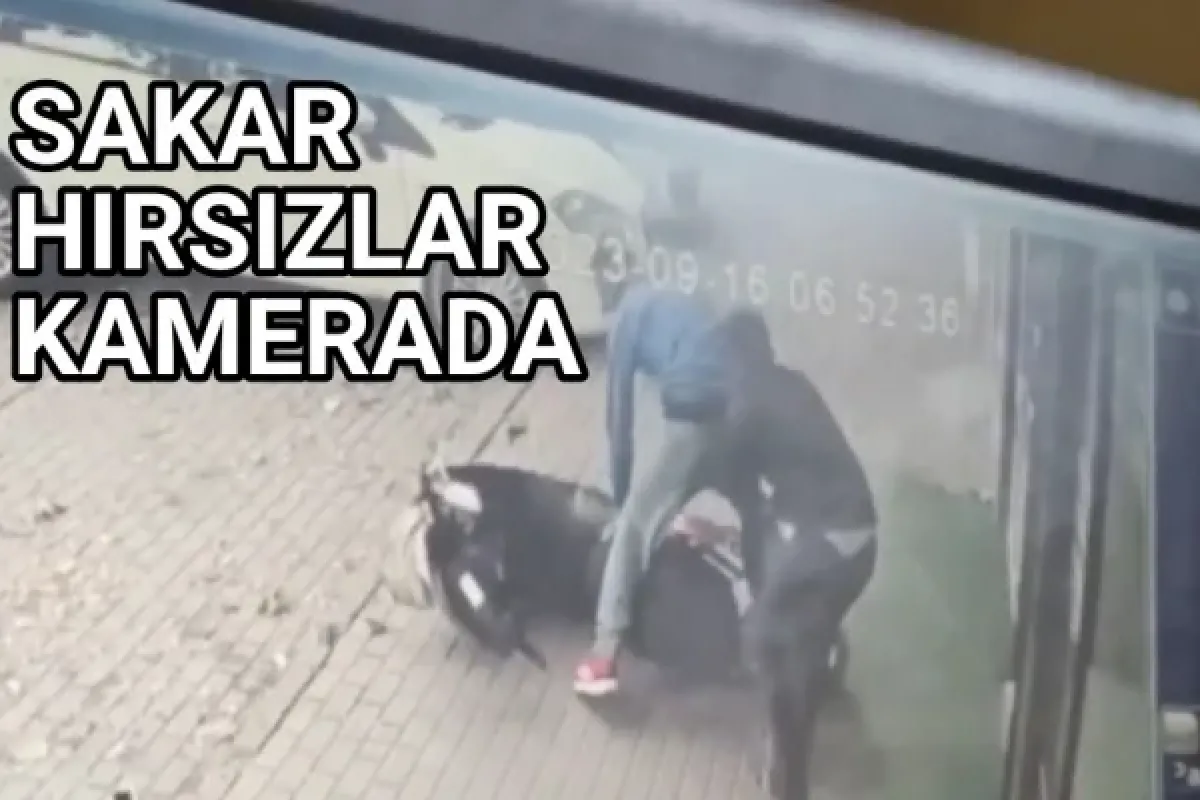Sakar hırsızlar kamerada