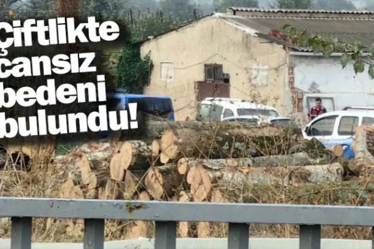 Çiftlikte cansız bedeni bulundu!