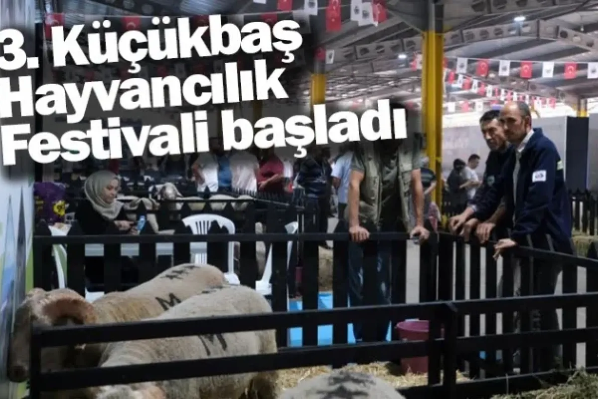 3. Küçükbaş Hayvancılık Festivali başladı