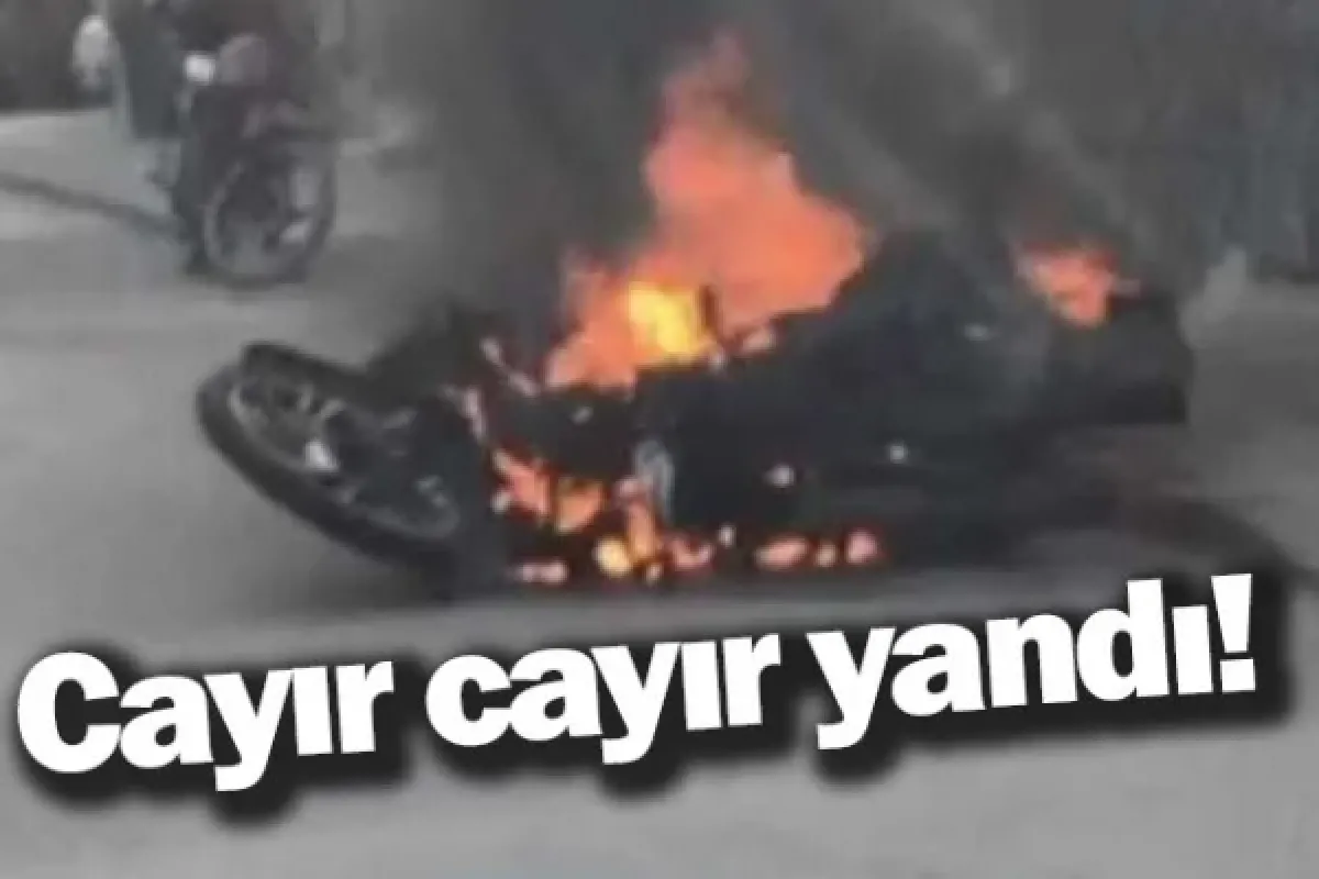 Cayır cayır yandı!