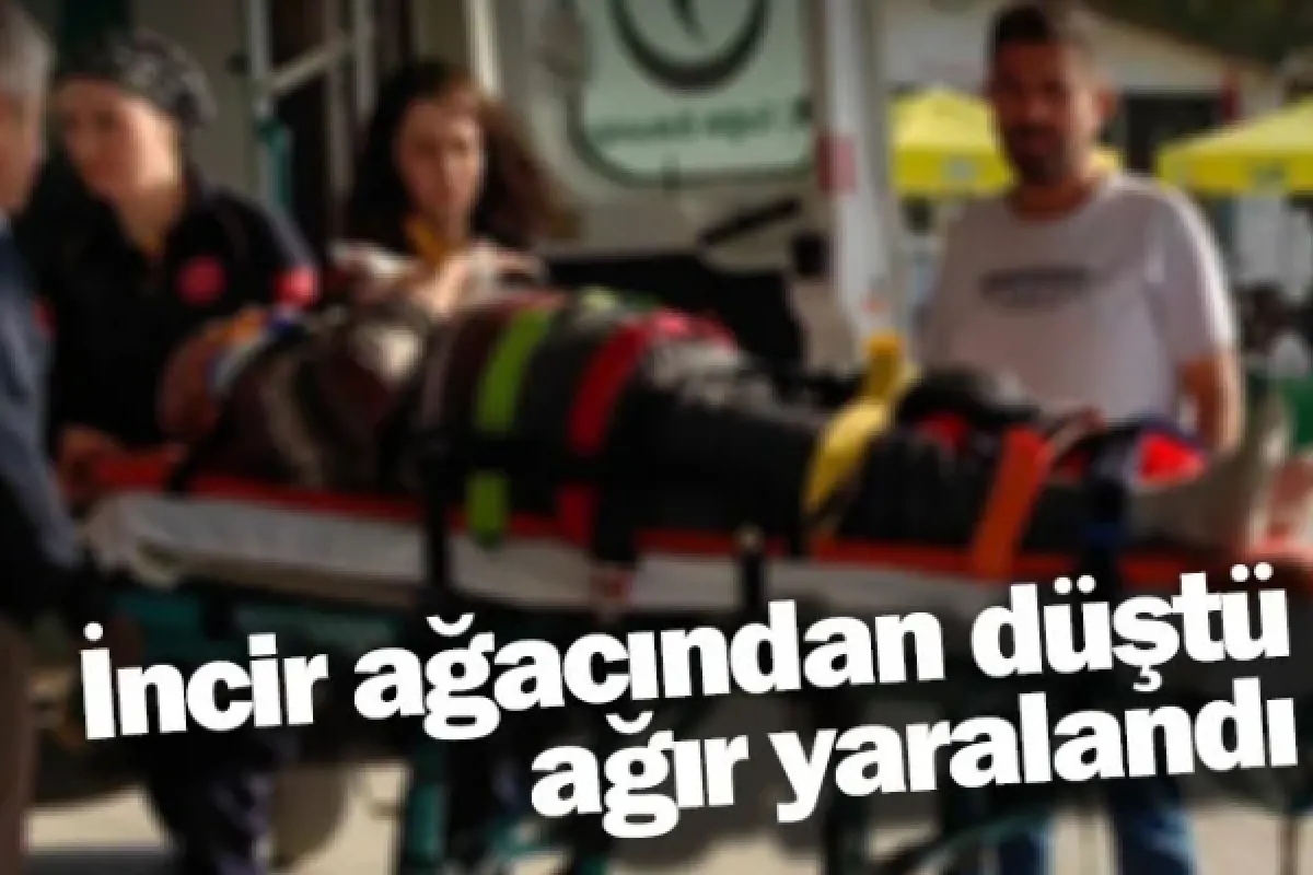 İncir ağacından düştü ağır yaralandı