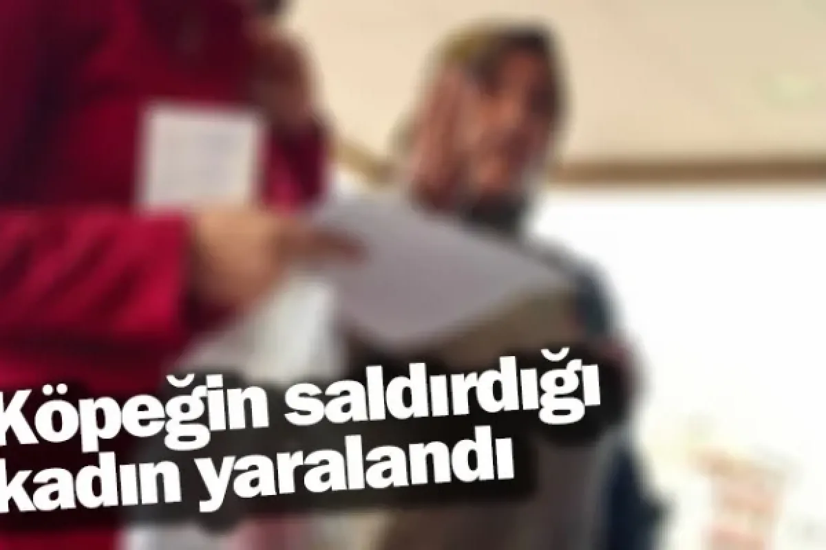 Köpeğin saldırdığı kadın yaralandı