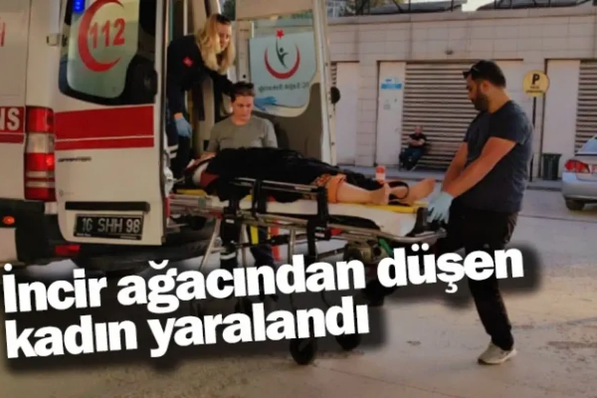 İncir ağacından düşen kadın yaralandı