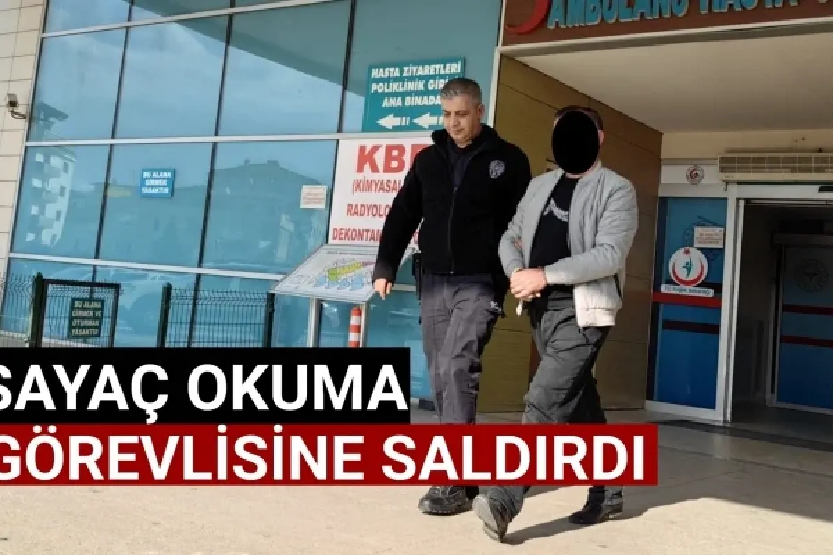 Sayaç okuma görevlisine saldırdı