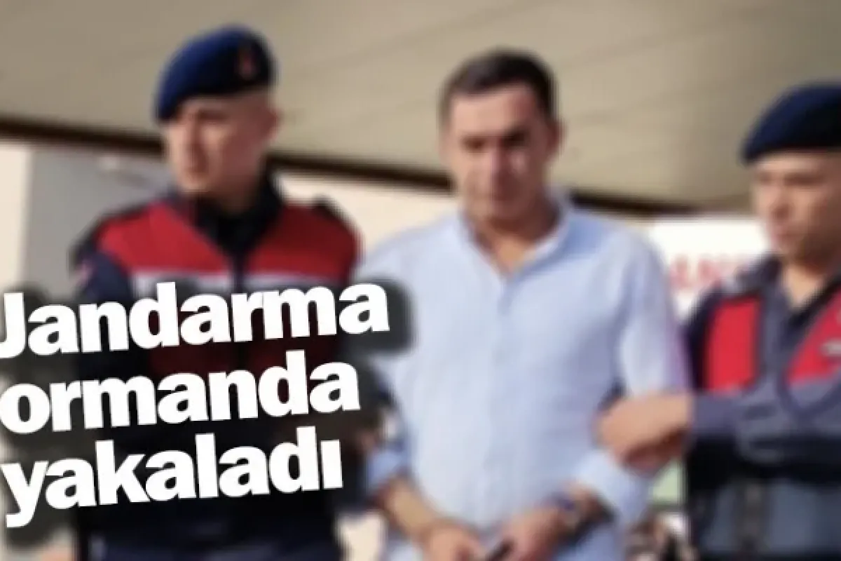 Jandarma ormanda yakaladı
