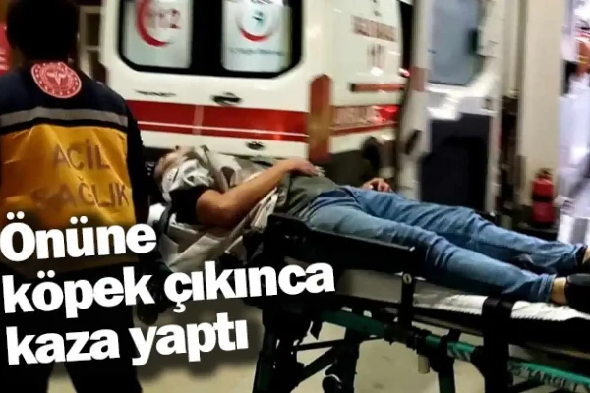 Önüne köpek çıkınca kaza yaptı
