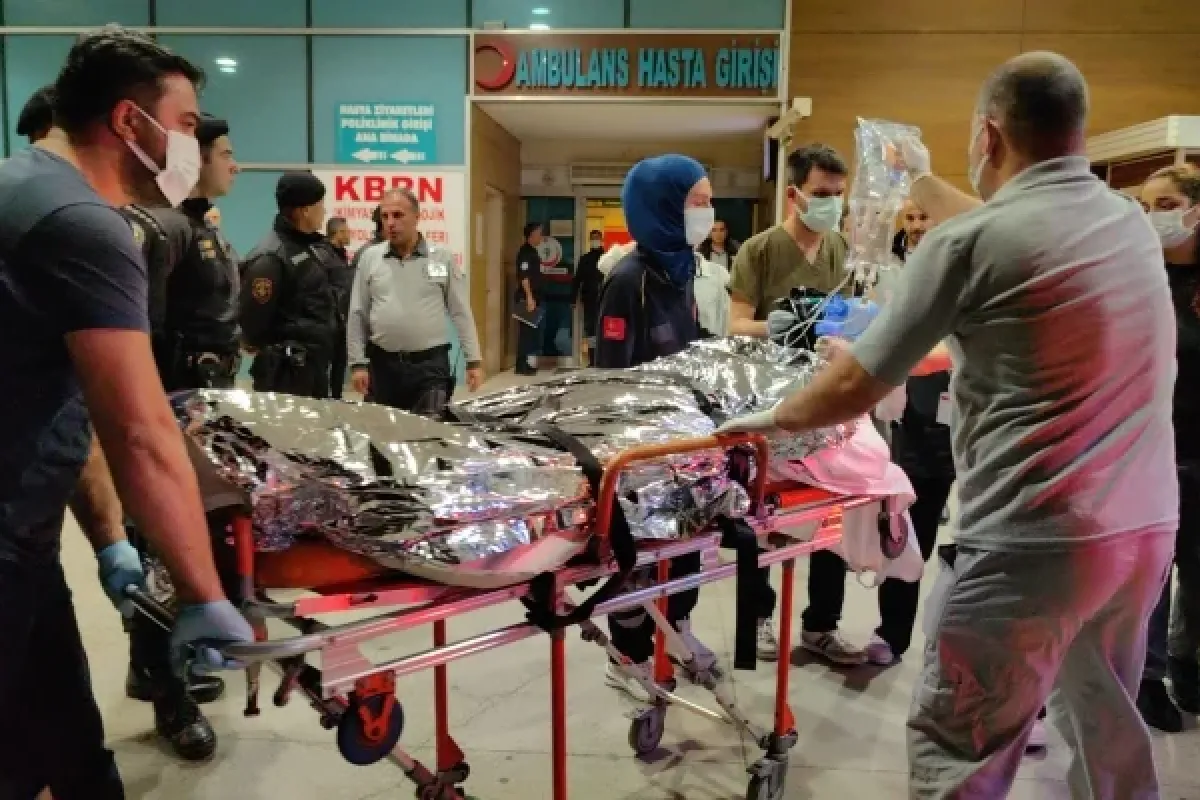 Bursa'ya sevk edildiler!