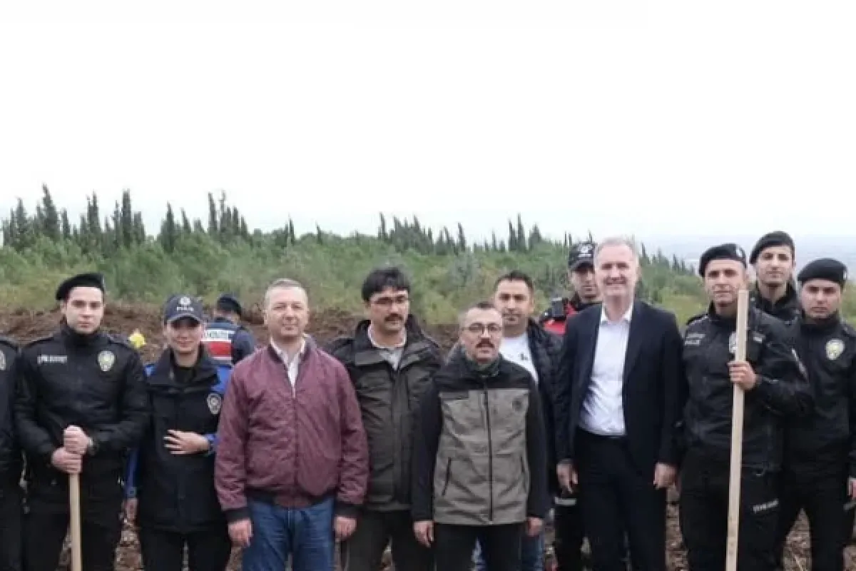 Milli Ağaçlandırma Günü'nde fidanlar toprakla buluştu
