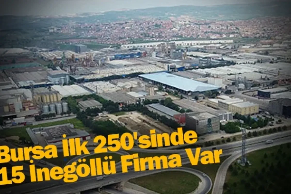Bursa İlk 250'sinde 15 İnegöllü Firma Var