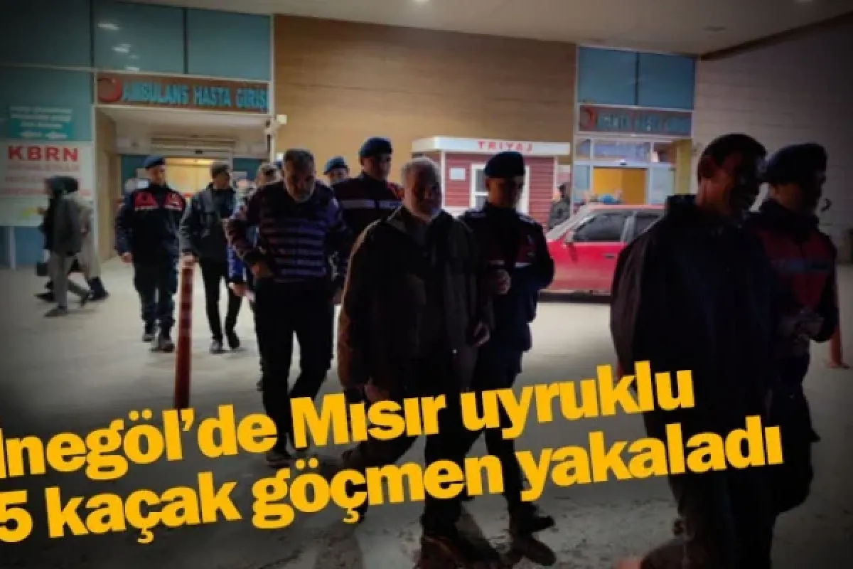 Mısır uyruklu 5 kaçak göçmen yakaladı