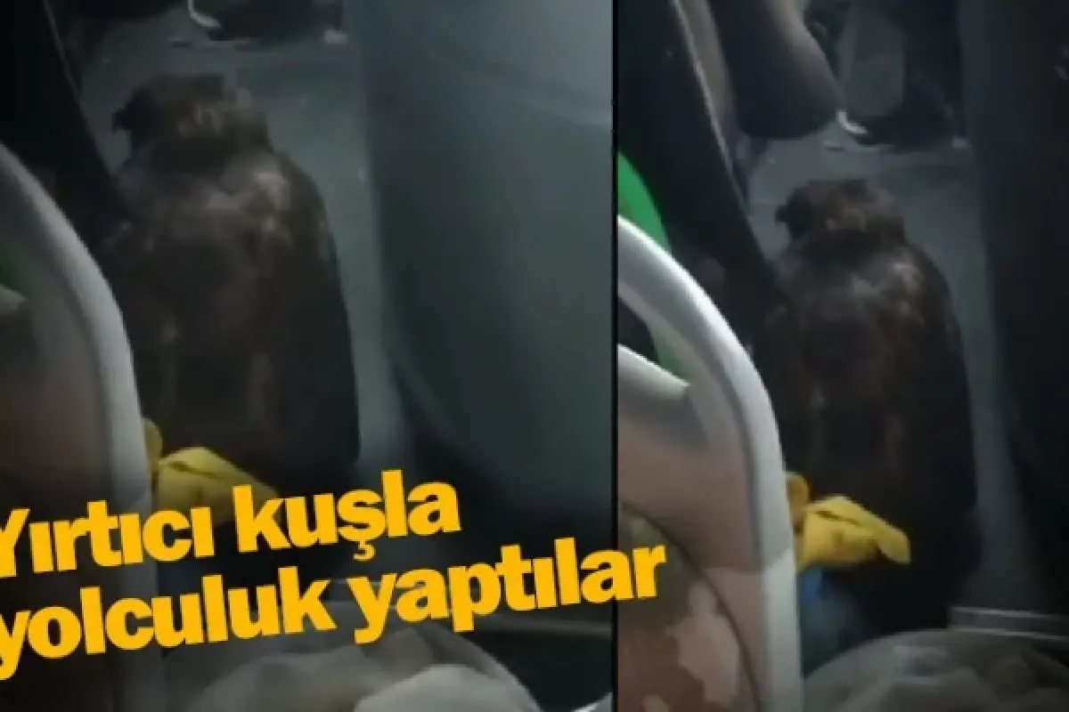 Yırtıcı kuşla yolculuk yaptılar