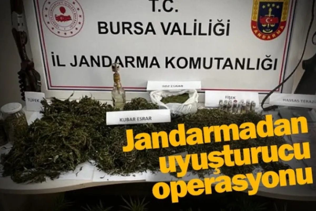 Jandarmadan uyuşturucu operasyonu
