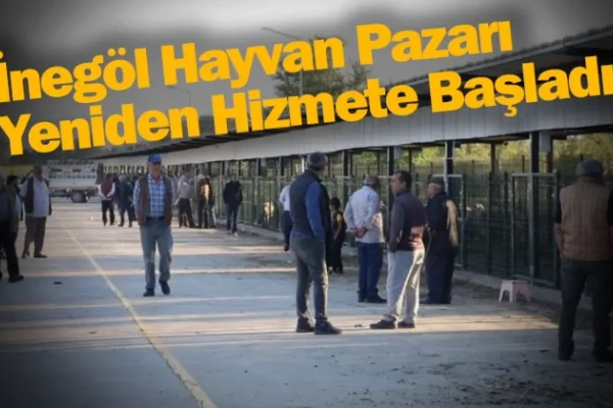 İnegöl Hayvan Pazarı Yeniden Hizmete Başladı