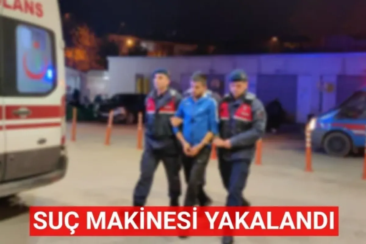 Suç makinesi yakalandı