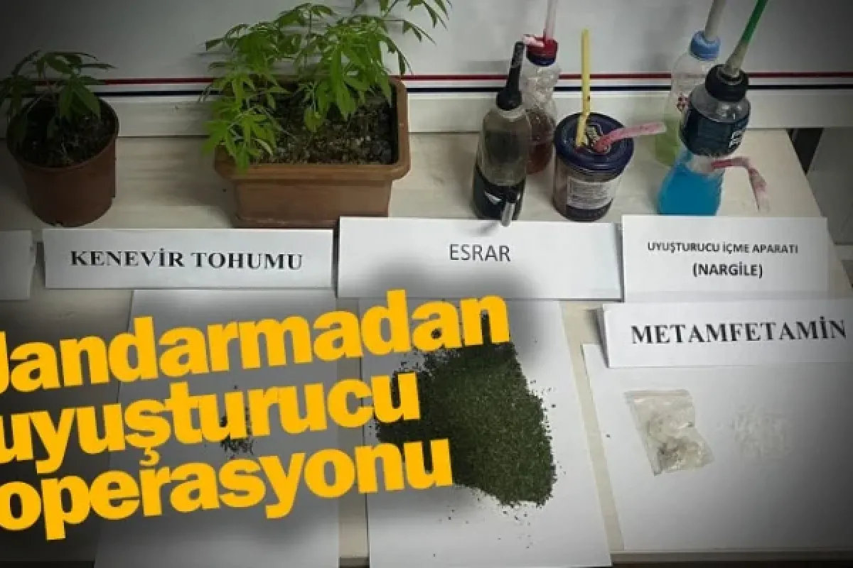 Jandarmadan uyuşturucu operasyonu