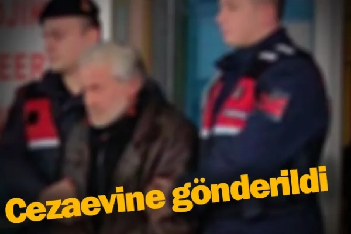 Cezaevine gönderildi