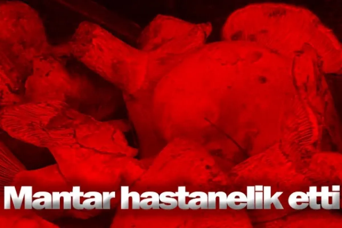 Mantar hastanelik etti