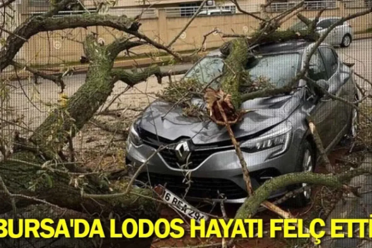 Bursa'da lodos hayatı felç etti