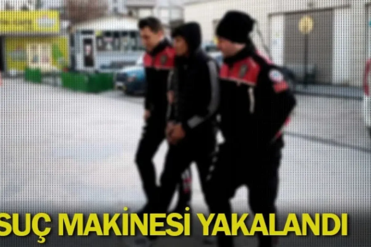 Suç makinesi yakalandı