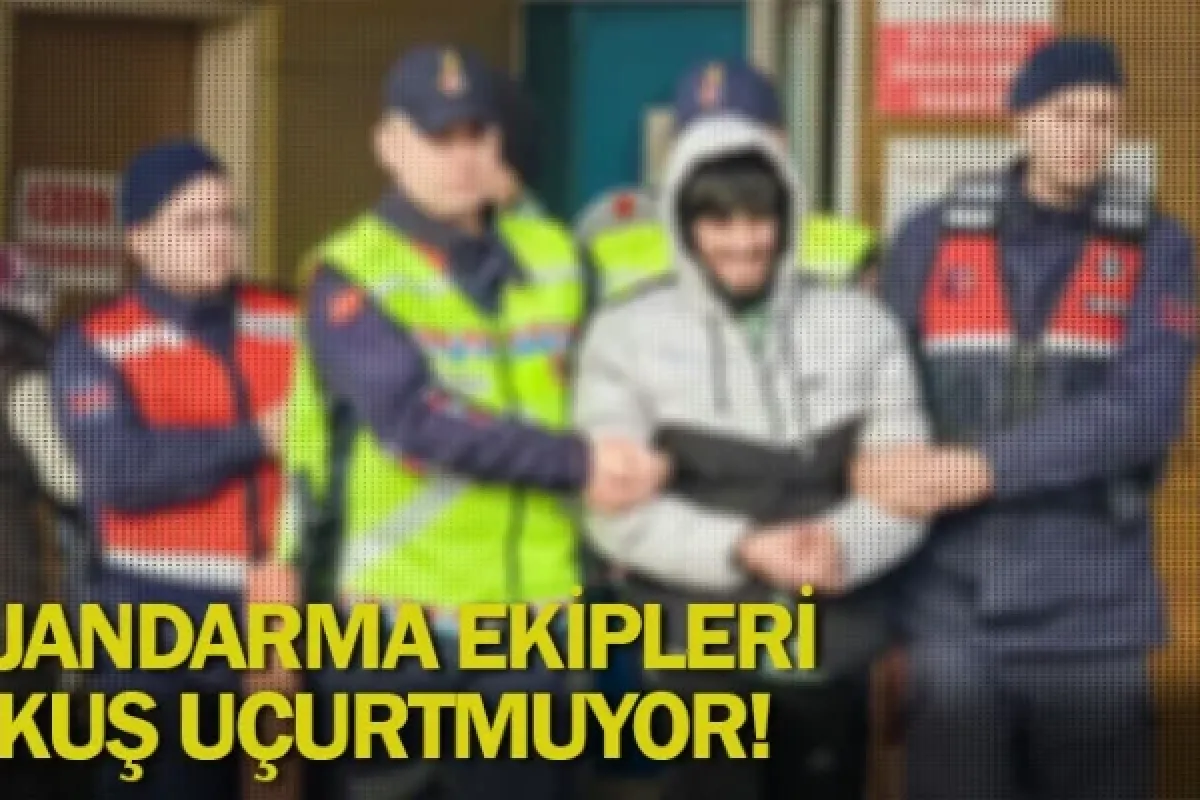 Jandarma ekipleri kuş uçurtmuyor!