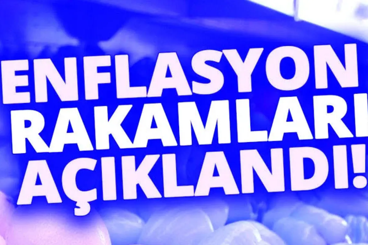 Ocak ayı enflasyon rakamları açıklandı