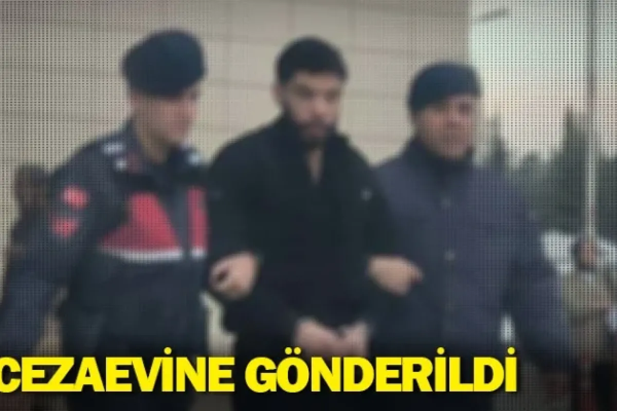 Cezaevine gönderildi
