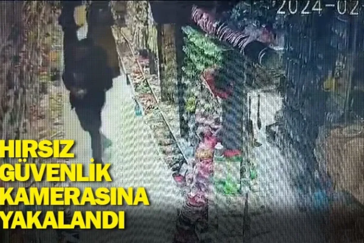 Hırsız güvenlik kamerasına yakalandı