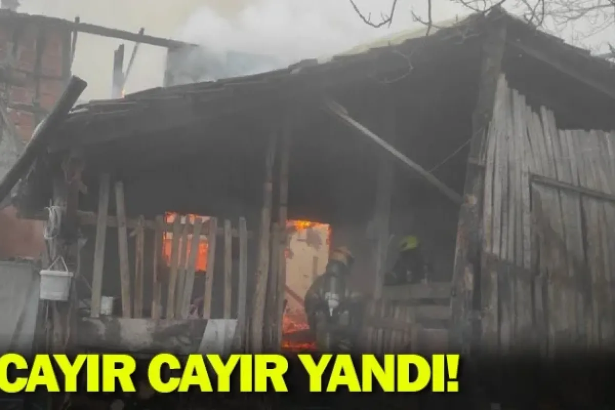 Cayır cayır yandı!