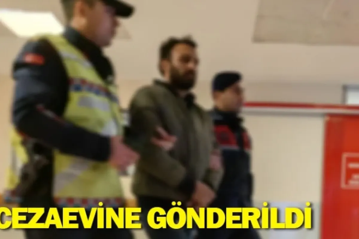 Cezaevine gönderildi