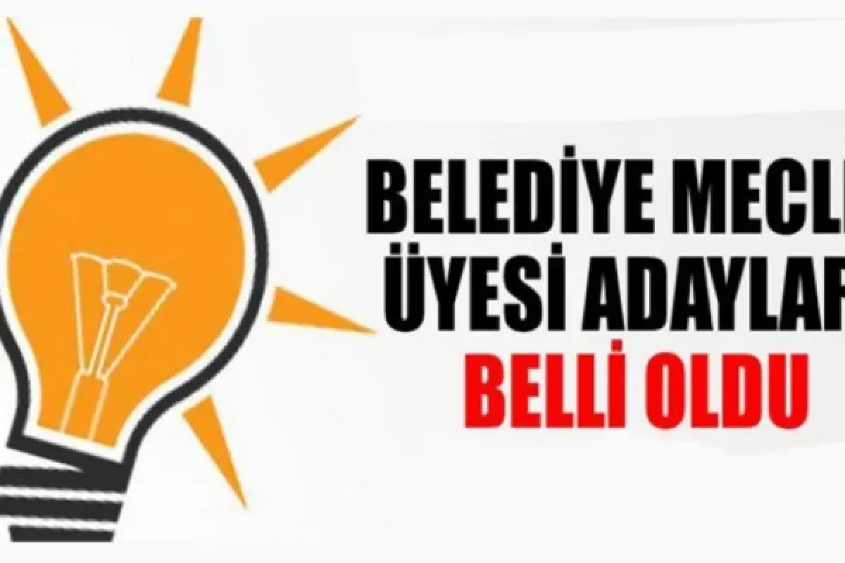 Meclis Üyesi Adayları Belli Oldu