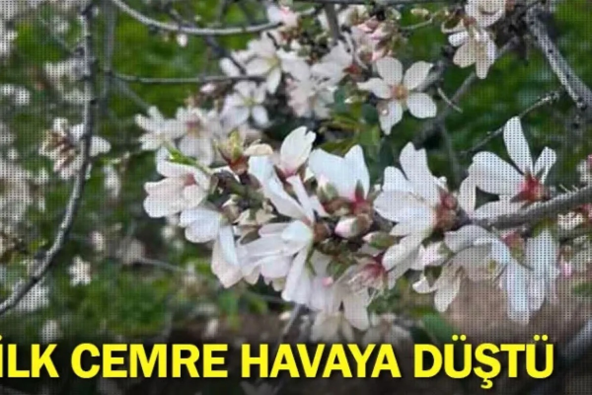 İlk cemre havaya düştü