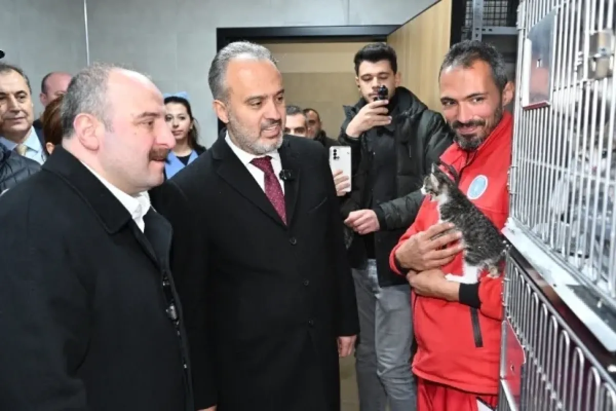 Can dostlara modern yeni yuva