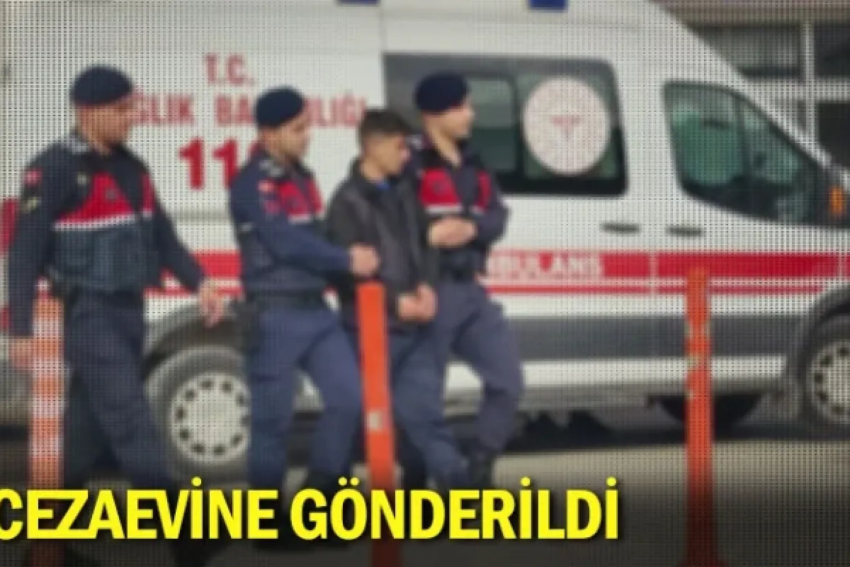 Cezaevine gönderildi