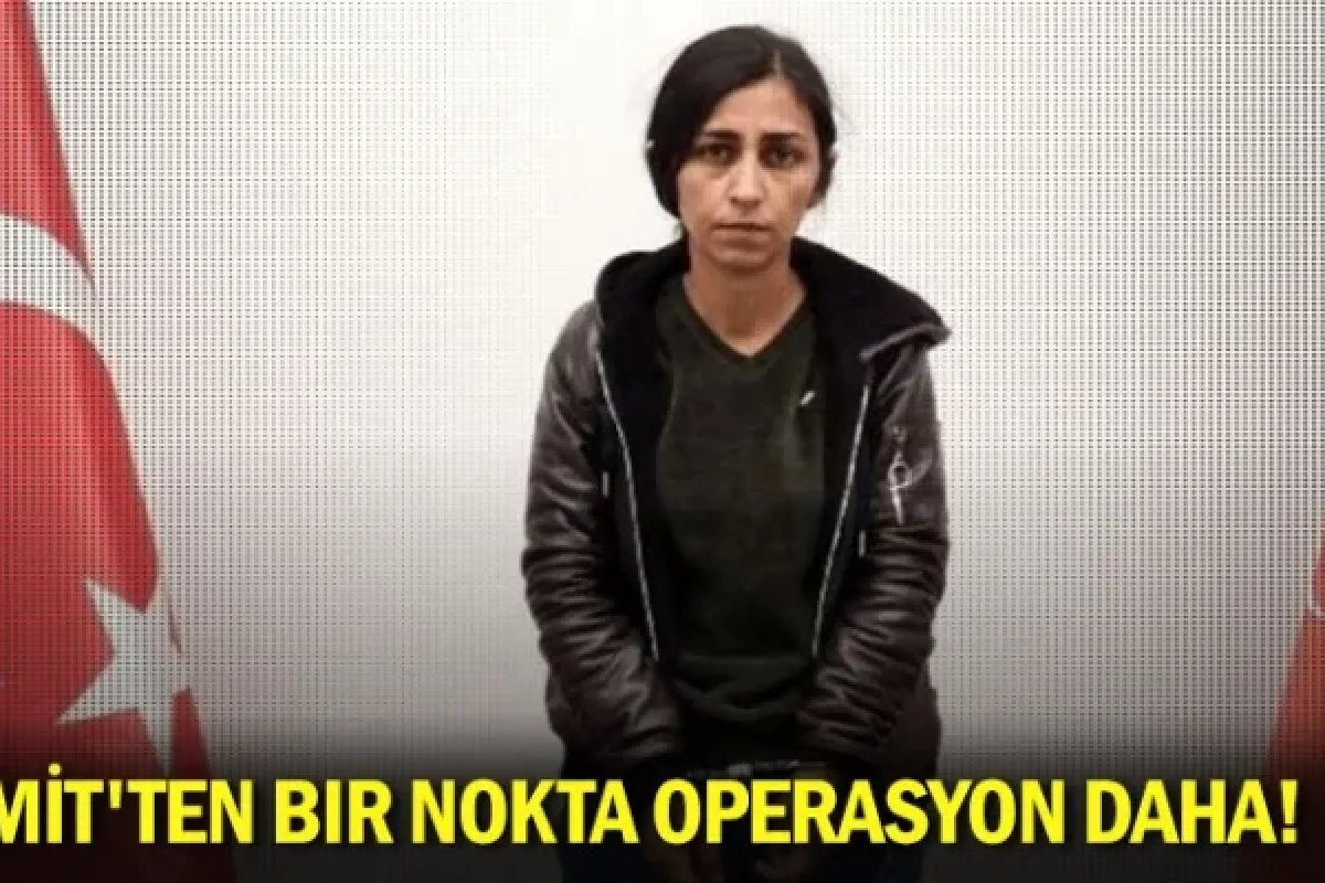 MİT'ten bir nokta operasyon daha!