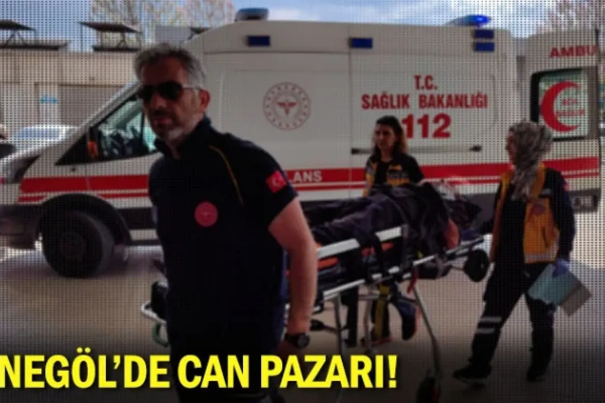Kontrolden çıkan araç devrildi