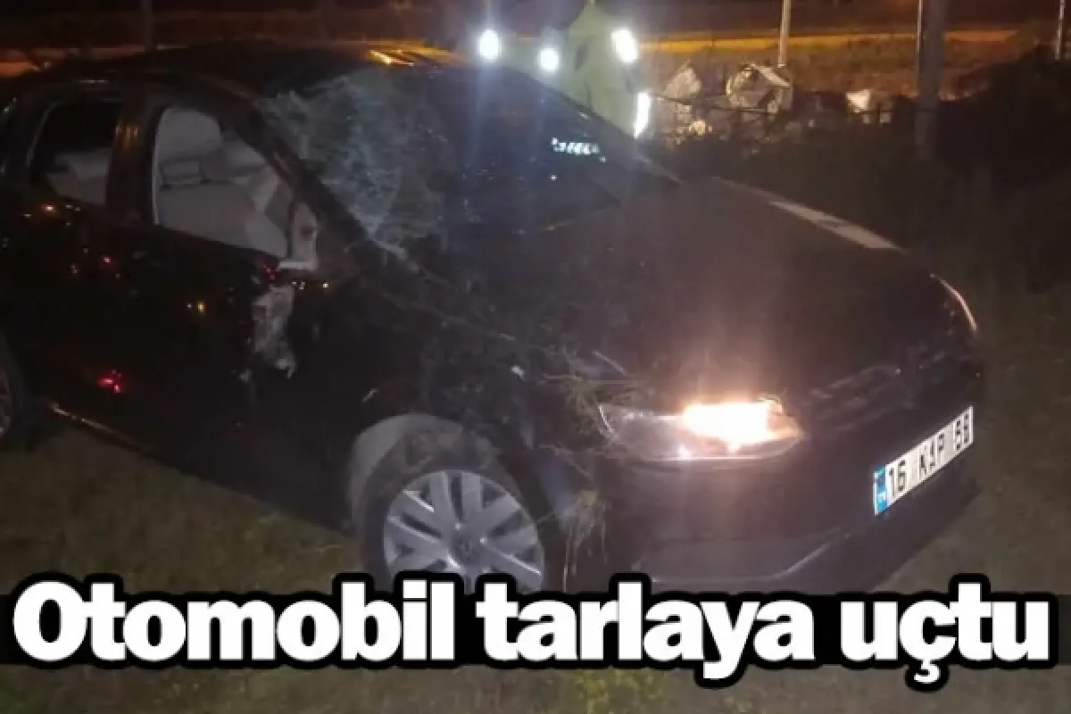 Otomobil tarlaya uçtu