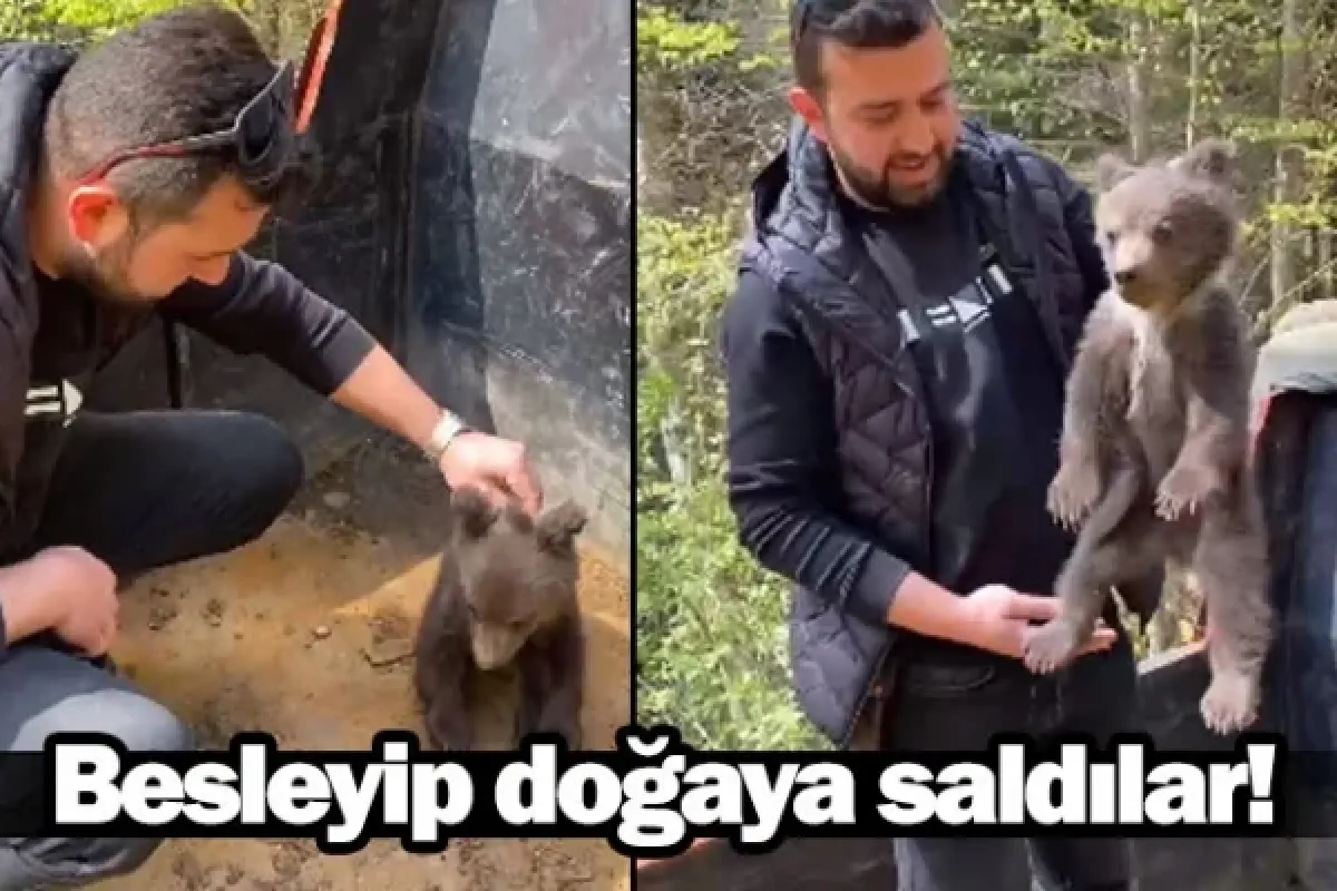 Besleyip doğaya saldılar!