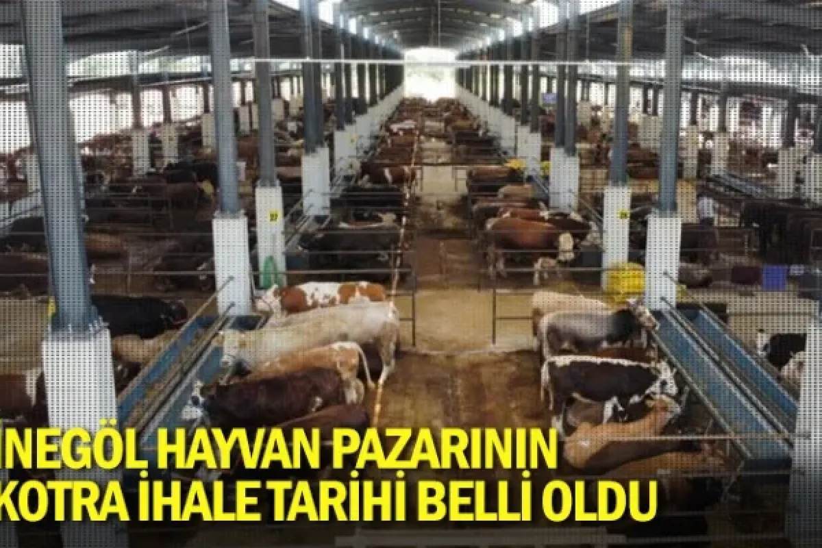 İnegöl hayvan pazarının kotra ihale tarihi belli oldu