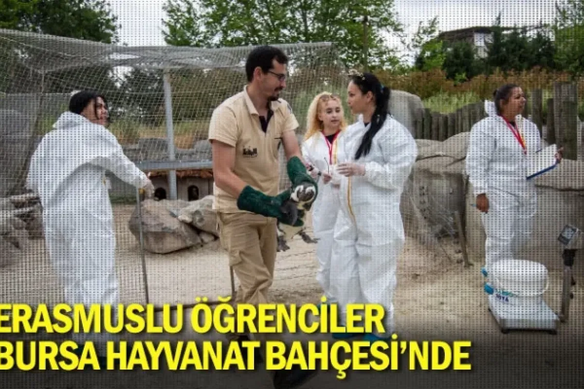 Erasmuslu öğrenciler Bursa Hayvanat Bahçesi’nde