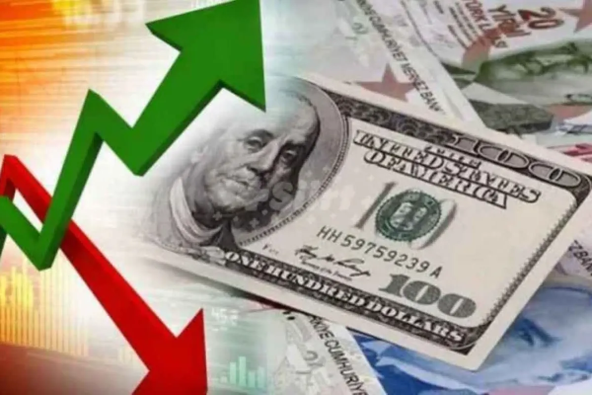 Merkez Bankası'ndan yıl sonu dolar ve enflasyon tahmini