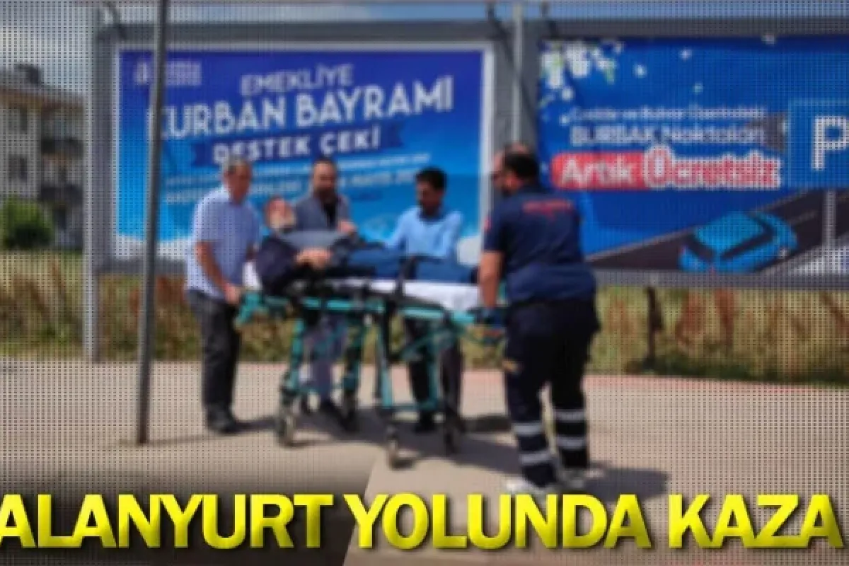 Alanyurt yolunda kaza