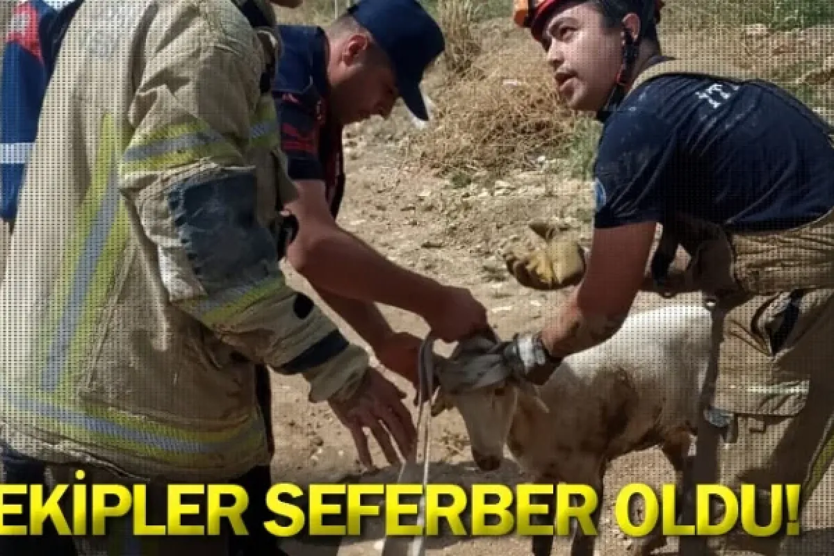 Ekipler seferber oldu!