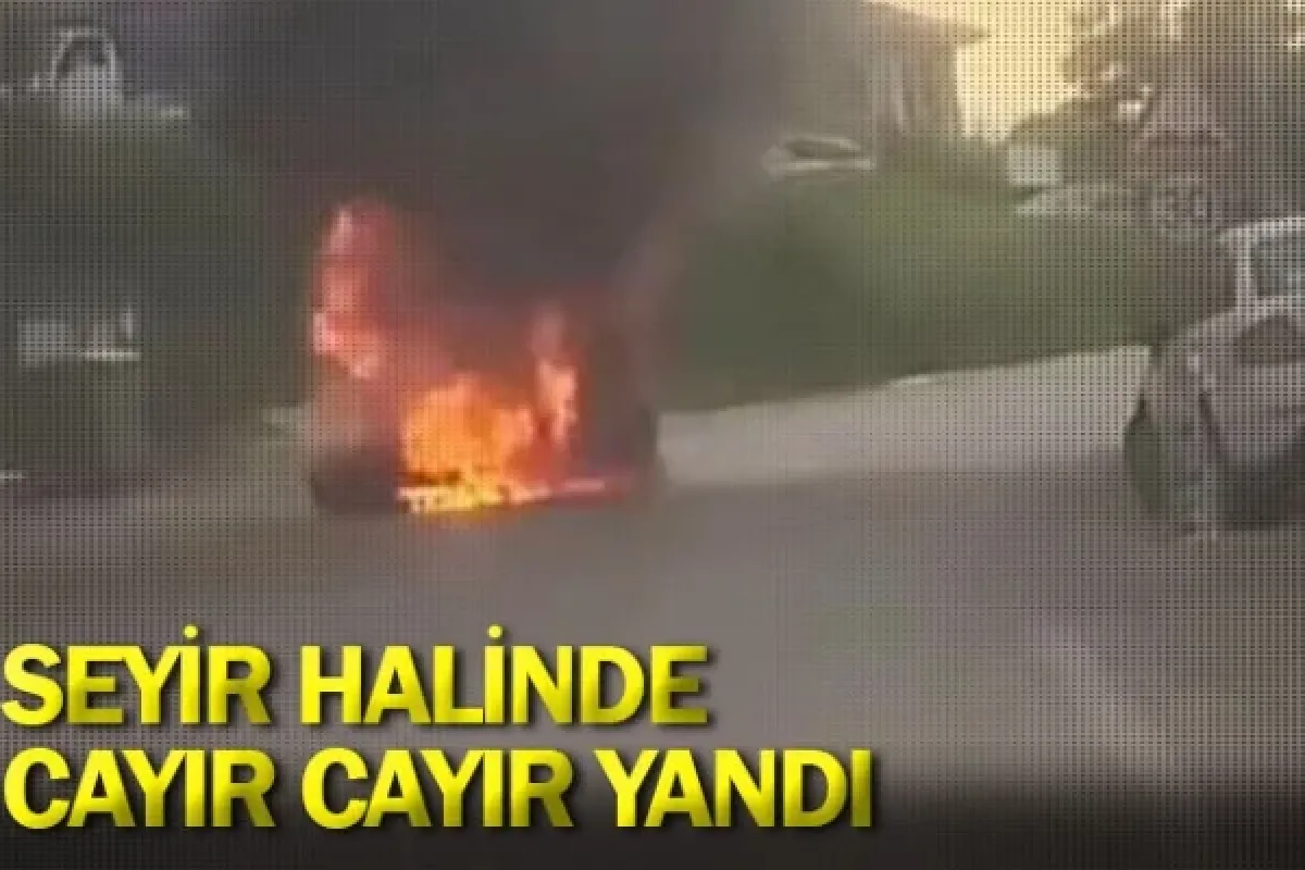 Seyir halinde cayır cayır yandı