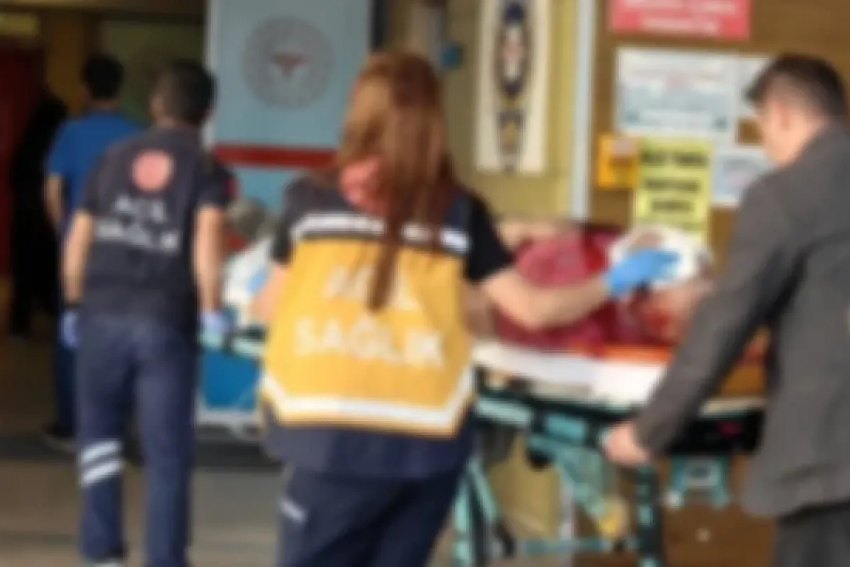 Ķiraz ağacından düştü