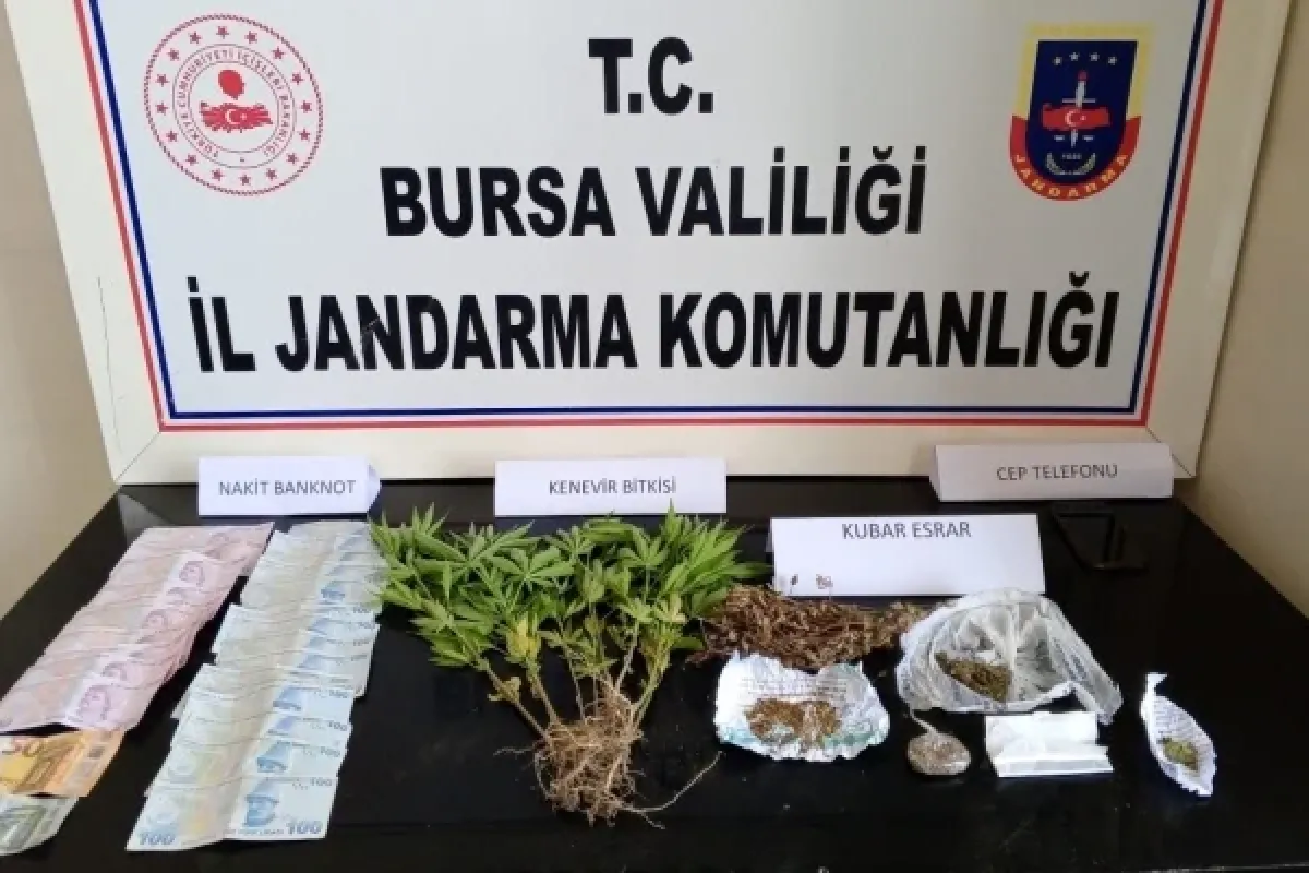 Jandarmadan şafak operasyonu