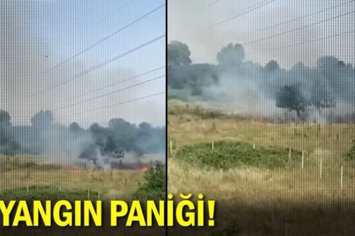 Yangın paniği!