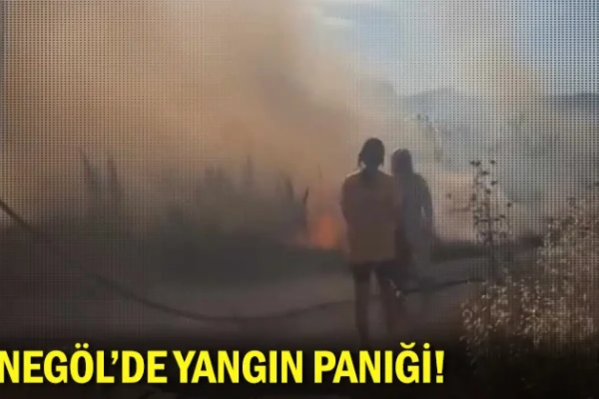 İnegöl'de yangın paniği!