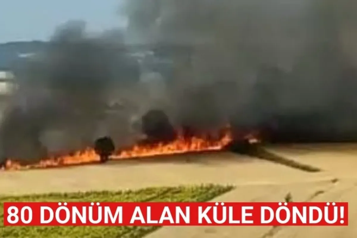 İnegöl'de 80 dönüm alan küle döndü